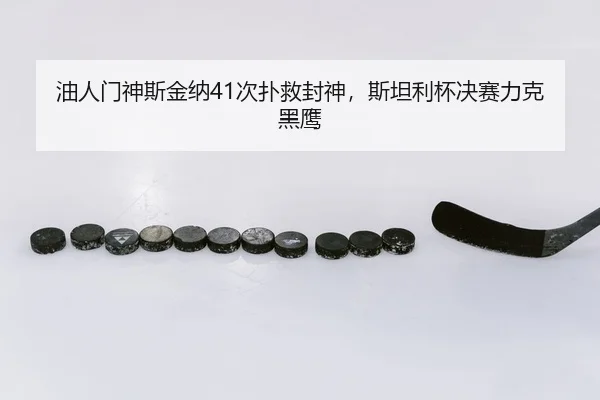 油人门神斯金纳41次扑救封神，斯坦利杯决赛力克黑鹰